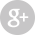 Google +